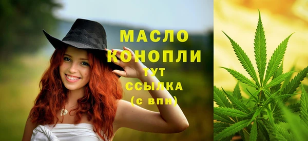 шишки Коряжма