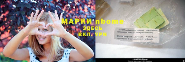 шишки Коряжма