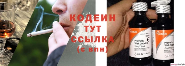 прущий лед Корсаков