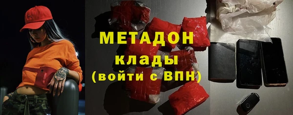 шишки Коряжма