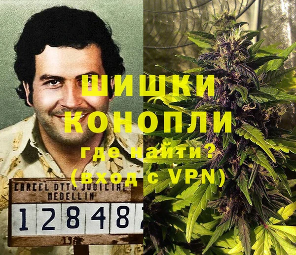 шишки Коряжма