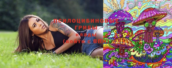 прущий лед Корсаков