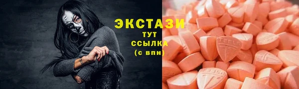 шишки Коряжма