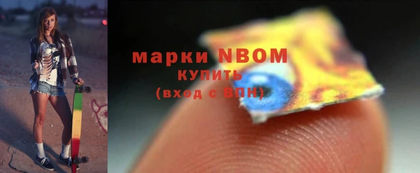 шишки Коряжма