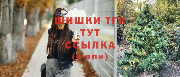спайс Кодинск