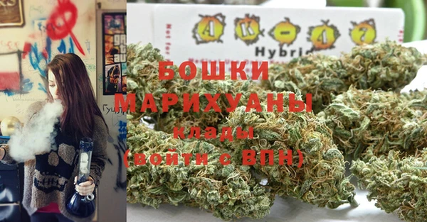 шишки Коряжма